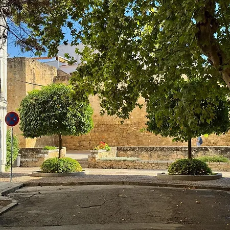 Appartement Marquesa Valdeiglesias *